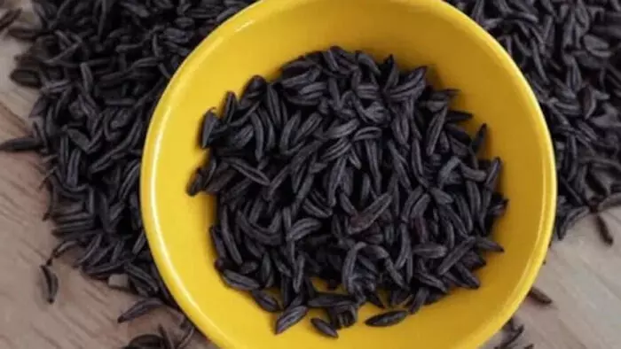 काली जीरी : पेट के कीड़ों और गैस की छुट्टी का घरेलू नुस्खा, जानें सेवन का सही तरीका