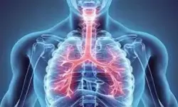 सर्दियों में सांस पर हमला: अस्थमा और सीओपीडी के अचानक बढ़ने का कारण क्या?