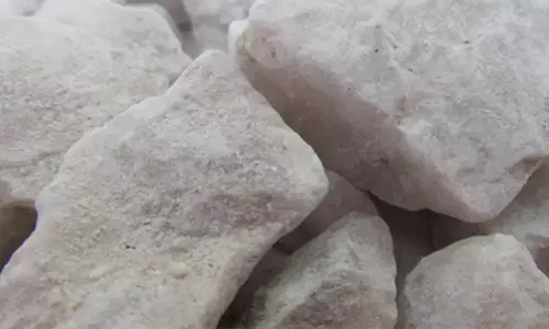 रूस ने सुदूर पूर्व में खोज निकाले चांदी के दो बड़े भंडार