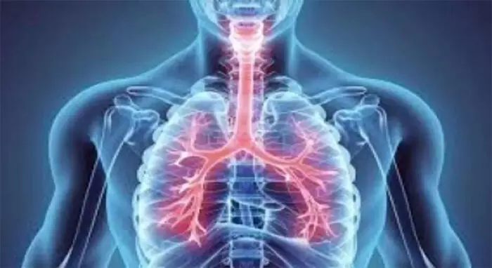 सर्दियों में सांस पर हमला: अस्थमा और सीओपीडी के अचानक बढ़ने का कारण क्या?