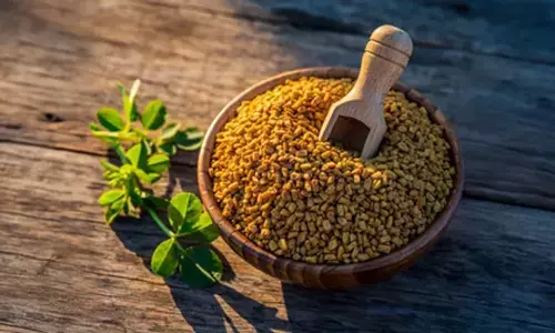 मेथी दाने के सेवन के मिलते हैं कई फायदे बस सही तरीका जान लें मेथी दाने के सेवन के मिलते हैं कई फायदे बस सही तरीका जान लें