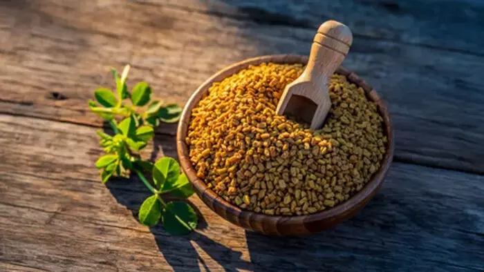 मेथी दाने के सेवन के मिलते हैं कई फायदे बस सही तरीका जान लें