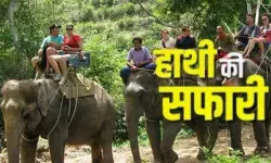 छह साल बाद कॉर्बेट पार्क में फिर हाथी सफारी होगी शुरू, इसी हफ्ते से जंगल की रोमांचक सैर कर सकेंगे पर्यटक