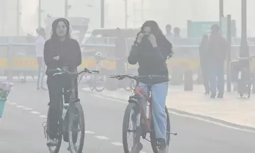 सीएक्यूएम ने दिल्ली में चलाया निरीक्षण अभियान, सड़कों पर धूल के अत्यधिक जमाव को चिह्नित किया