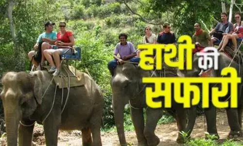 छह साल बाद कॉर्बेट पार्क में फिर हाथी सफारी होगी शुरू, इसी हफ्ते से जंगल की रोमांचक सैर कर सकेंगे पर्यटक छह साल बाद कॉर्बेट पार्क में फिर हाथी सफारी होगी शुरू, इसी हफ्ते से जंगल की रोमांचक सैर कर सकेंगे पर्यटक