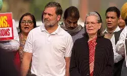 संविधान-लोकतंत्र की रक्षा के लिए एसआईआर पर गंभीर चर्चा कराए सरकार : राहुल संविधान-लोकतंत्र की रक्षा के लिए एसआईआर पर गंभीर चर्चा कराए सरकार : राहुल