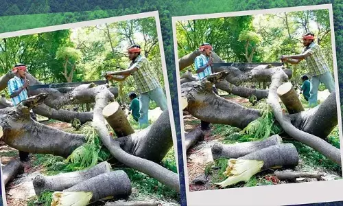 भारत में पर्यावरण संरक्षण पर नई बहस तेज, वनों की कटाई और अवैध खनन पर रोक की मांग भारत में पर्यावरण संरक्षण पर नई बहस तेज, वनों की कटाई और अवैध खनन पर रोक की मांग