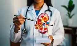 किडनी सिस्ट बढ़ने से पहले पहचानें संकेत, अपनाएं ये आयुर्वेदिक उपाय