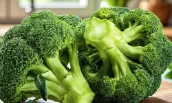 फैटी लिवर से डिटॉक्स तक, ब्रोकली सर्दियों में शरीर के लिए बेहद फायदेमंद