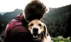 काटने की पावर आफ अटार्नी काटने की पावर आफ अटार्नी