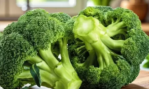 फैटी लिवर से डिटॉक्स तक, ब्रोकली सर्दियों में शरीर के लिए बेहद फायदेमंद फैटी लिवर से डिटॉक्स तक, ब्रोकली सर्दियों में शरीर के लिए बेहद फायदेमंद