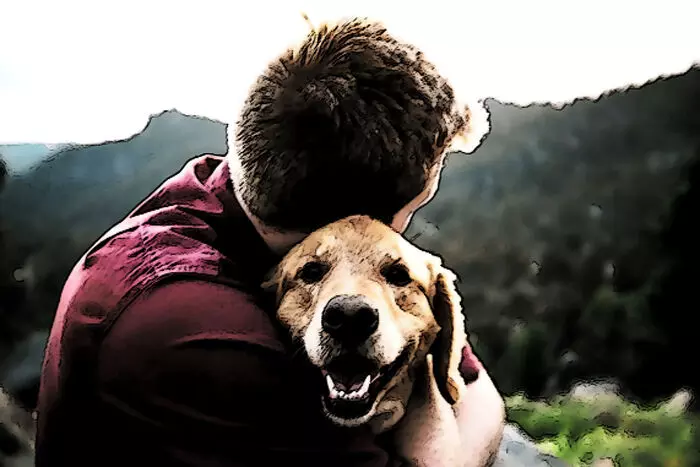 काटने की पावर आफ अटार्नी काटने की पावर आफ अटार्नी