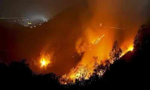 जम्मू-कश्मीर: पुंछ में नियंत्रण रेखा पर जंगल की आग से बारूदी सुरंग विस्फोट जम्मू-कश्मीर: पुंछ में नियंत्रण रेखा पर जंगल की आग से बारूदी सुरंग विस्फोट