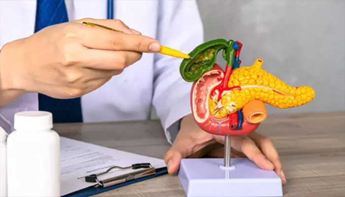 गलत लाइफस्टाइल और खानपान बिगाड़ सकता है सेहत, पथरी का भी खतरा गलत लाइफस्टाइल और खानपान बिगाड़ सकता है सेहत, पथरी का भी खतरा