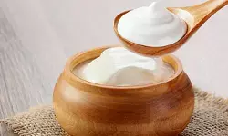 सर्दियों में दही भी जरूरी : पाचन, हड्डियां और त्वचा के लिए बेहद लाभकारी