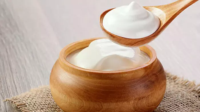 सर्दियों में दही भी जरूरी : पाचन, हड्डियां और त्वचा के लिए बेहद लाभकारी सर्दियों में दही भी जरूरी : पाचन, हड्डियां और त्वचा के लिए बेहद लाभकारी