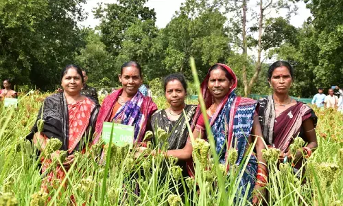 जहरमुक्त खेती की ओर बढ़ते कदम जहरमुक्त खेती की ओर बढ़ते कदम