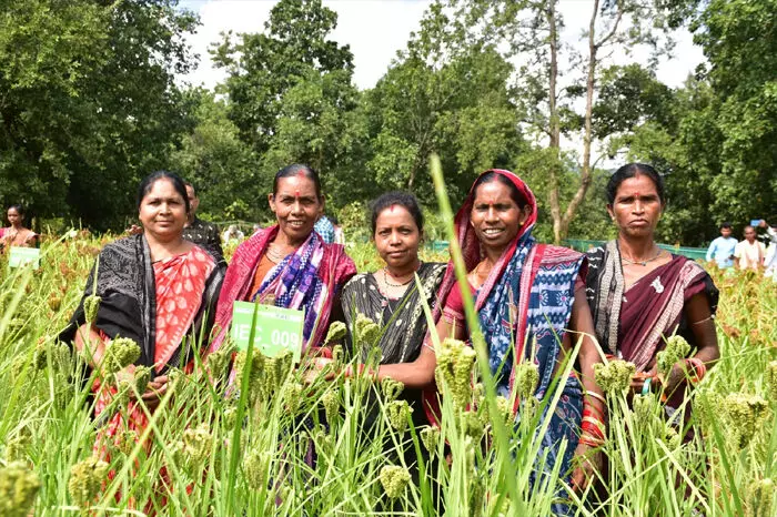 जहरमुक्त खेती की ओर बढ़ते कदम जहरमुक्त खेती की ओर बढ़ते कदम