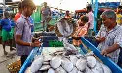 भारत के समुद्री उत्पादों का निर्यात अप्रैल से अक्टूबर में 14 प्रतिशत बढ़ा, अमेरिका में झींगे के निर्यात को मिली मजबूती भारत के समुद्री उत्पादों का निर्यात अप्रैल से अक्टूबर में 14 प्रतिशत बढ़ा, अमेरिका में झींगे के निर्यात को मिली मजबूती