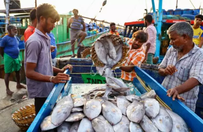 भारत के समुद्री उत्पादों का निर्यात अप्रैल से अक्टूबर में 14 प्रतिशत बढ़ा, अमेरिका में झींगे के निर्यात को मिली मजबूती भारत के समुद्री उत्पादों का निर्यात अप्रैल से अक्टूबर में 14 प्रतिशत बढ़ा, अमेरिका में झींगे के निर्यात को मिली मजबूती