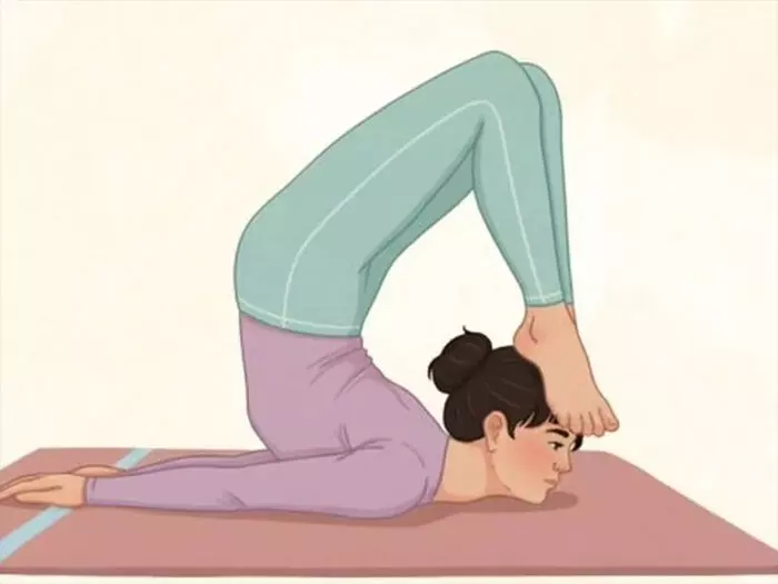 हलासन से उष्ट्रासन तक: पेट में जलन, एसिडिटी और डकार से छुटकारा दिलाएंगे ये योगासन हलासन से उष्ट्रासन तक: पेट में जलन, एसिडिटी और डकार से छुटकारा दिलाएंगे ये योगासन