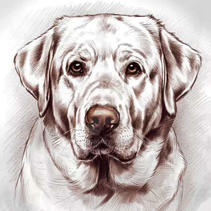 पालतू श्वान ने मेरी और मेरे पिता की जान बचाई पालतू श्वान ने मेरी और मेरे पिता की जान बचाई