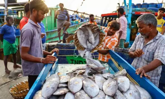 भारत के समुद्री उत्पादों का निर्यात अप्रैल से अक्टूबर में 14 प्रतिशत बढ़ा, अमेरिका में झींगे के निर्यात को मिली मजबूती भारत के समुद्री उत्पादों का निर्यात अप्रैल से अक्टूबर में 14 प्रतिशत बढ़ा, अमेरिका में झींगे के निर्यात को मिली मजबूती
