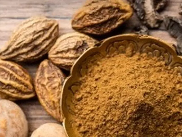 सेहत का कवच है पांच स्वादों वाला हरड़, वात-पित्त-कफ का दुश्मन सेहत का कवच है पांच स्वादों वाला हरड़, वात-पित्त-कफ का दुश्मन