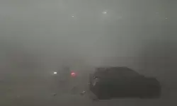 दिल्ली में घना कोहरा, इंडिगो ने उड़ानों पर बड़ा अलर्ट जारी किया