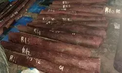 चेन्नई से 6.26 करोड़ के लाल चंदन की तस्करी नाकाम, 4 आरोपी गिरफ्तार