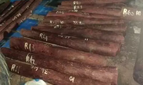 चेन्नई से 6.26 करोड़ के लाल चंदन की तस्करी नाकाम, 4 आरोपी गिरफ्तार