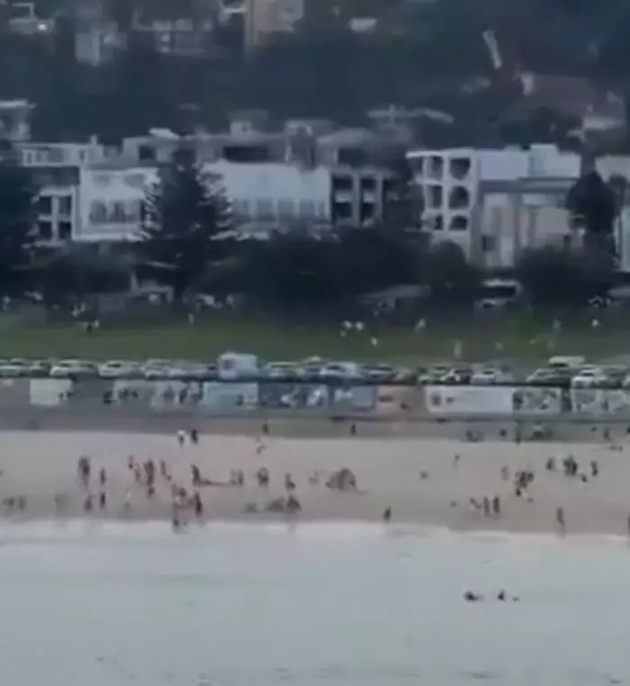 यहूदियों पर हमले को लेकर इजरायल का फूटा गुस्सा, ऑस्ट्रेलियाई सरकार पर चेतावनी को नजरअंदाज करने का लगाया आरोप यहूदियों पर हमले को लेकर इजरायल का फूटा गुस्सा, ऑस्ट्रेलियाई सरकार पर चेतावनी को नजरअंदाज करने का लगाया आरोप