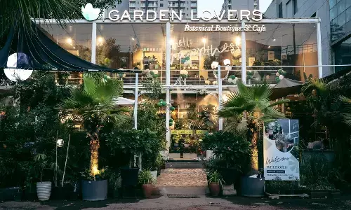 प्रदूषित दिल्ली में साफ हवा देने की कोशिश करते ग्रीन कैफे प्रदूषित दिल्ली में साफ हवा देने की कोशिश करते ग्रीन कैफे