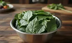 खून की कमी से लेकर जोड़ों के दर्द तक, मकोय का साग सर्दियों में देता है कई बीमारियों से राहत