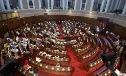 यूपी : विधान परिषद में चाइनीज मांझे की अवैध बिक्री का उठा मुद्दा, पूर्ण प्रतिबंध की मांग की