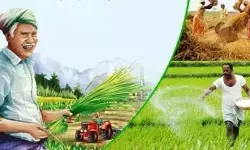 बढ़ता उत्पादन, घटता खर्च, पर्यावरण की रक्षा : इन किसानों से हम क्या-क्या सीखें