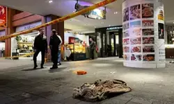 ताइवान में स्मॉक ग्रेनेड और चाकू से हमला, तीन लोगों की मौत, सनकी के हमले से दहला