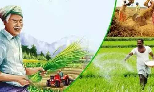 बढ़ता उत्पादन, घटता खर्च, पर्यावरण की रक्षा : इन किसानों से हम क्या-क्या सीखें