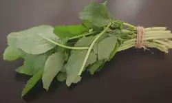 सर्दियों में सरसों का साग: सेहत का कवच और स्वाद का साथी सर्दियों में सरसों का साग: सेहत का कवच और स्वाद का साथी