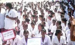 तमिलनाडु : नर्सों ने अपनी मांगों को लेकर  पूरी रात किया धरना प्रदर्शन, डीएमके सरकार पर वादाखिलाफी का लगाया आरोप