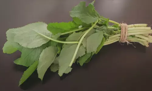 सर्दियों में सरसों का साग: सेहत का कवच और स्वाद का साथी