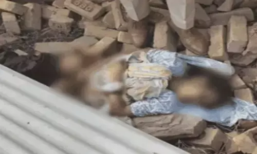 Gurugram News: झूठी शान के लिए भाई ने दोस्त से कराई हत्या, मुस्लिम युवक से शादी करना चाहती थी युवती