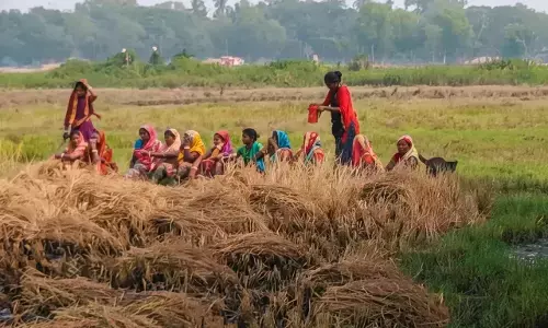 ओडिशा : सरकारी जमीन पर धान की कटाई को लेकर दो गुटों में झड़प के बाद तनाव, बीएनएसएस की धारा 163 लागू