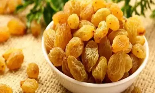 किशमिश: सर्दियों का नेचुरल एनर्जी बूस्टर, स्वाद और सेहत दोनों का रखे ख्याल