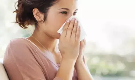 बार-बार आने वाली छींक सर्दी या जुकाम का संकेत नहीं बल्कि एलर्जी का है संकेत, जानें घरेलू उपाय