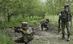 बीजापुर में सीआरपीएफ की बड़ी सफलता, माओवादी साजिश नाकाम