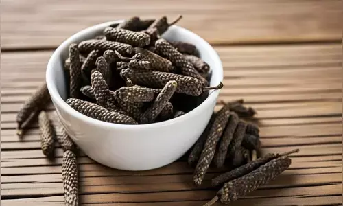 पाचन और रोग प्रतिरोधक क्षमता में सुधार के लिए जरूर करें पिप्पली का सेवन, कमजोरी भी होगी दूर