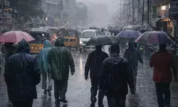 तमिलनाडु में 3 जनवरी तक हल्की से मध्यम बारिश का अनुमान