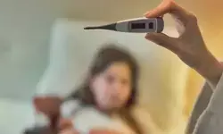 आपकी ये गलती बन सकती है टाइफाइड का कारण? आयुर्वेद से जानिए बचाव के उपाय