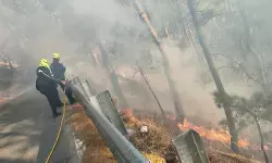 अल्मोड़ा: गोलू मंदिर के पास जंगल में आग, दमकल ने समय रहते पाया काबू अल्मोड़ा: गोलू मंदिर के पास जंगल में आग, दमकल ने समय रहते पाया काबू